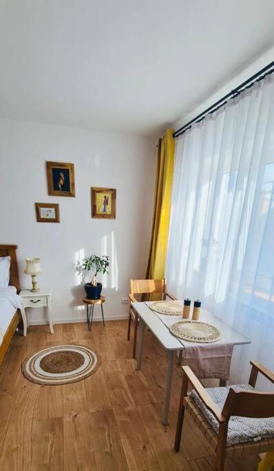 Warm And Cozy Studio Flat Near Straja Uricani  Exterior photo